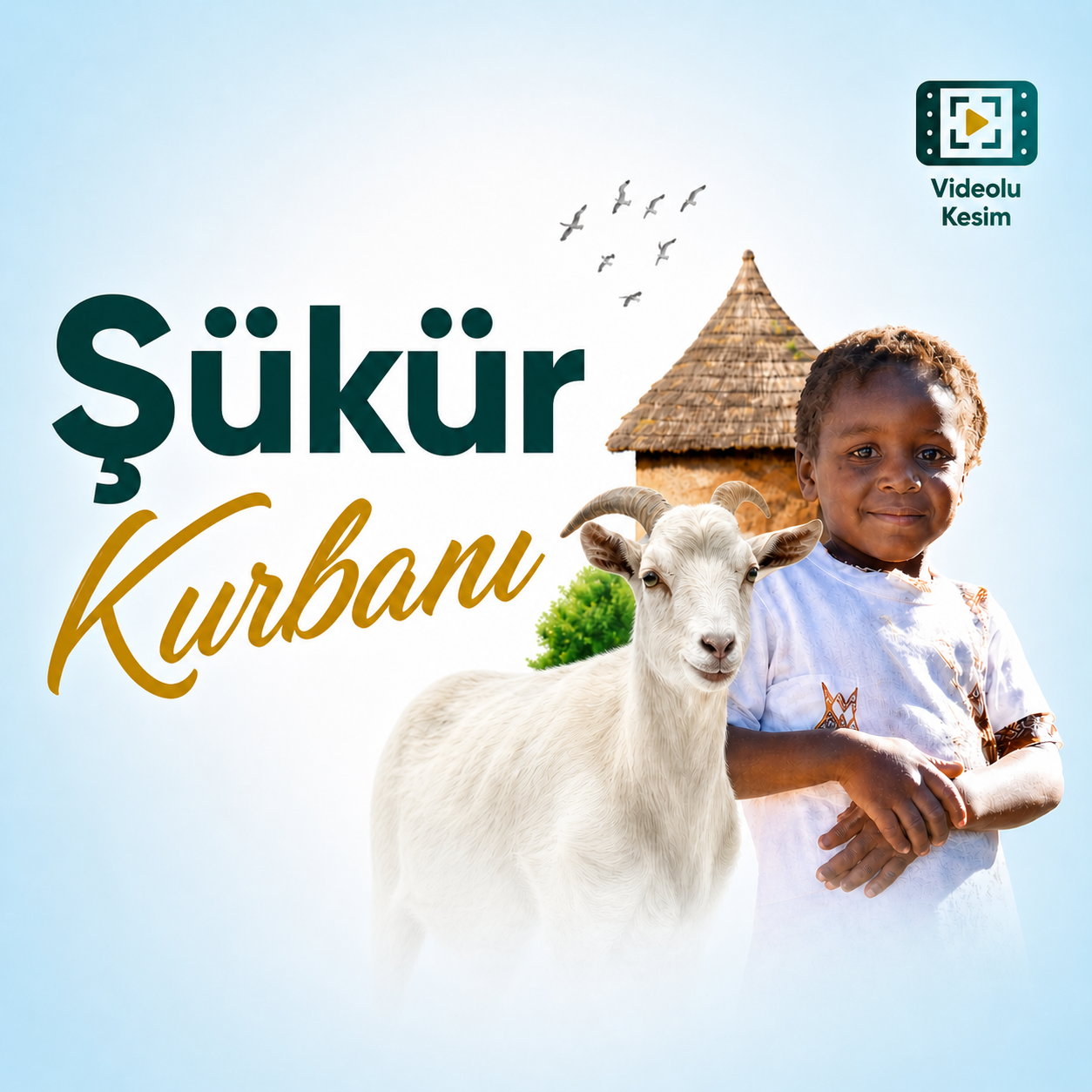 Şükür Kurbanı